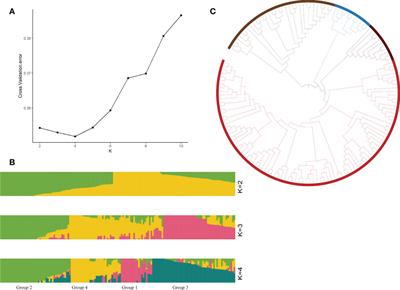 Genome-wide association analysis revealed genetic variation and candidate genes associated with the yield traits of upland cotton under drought conditions